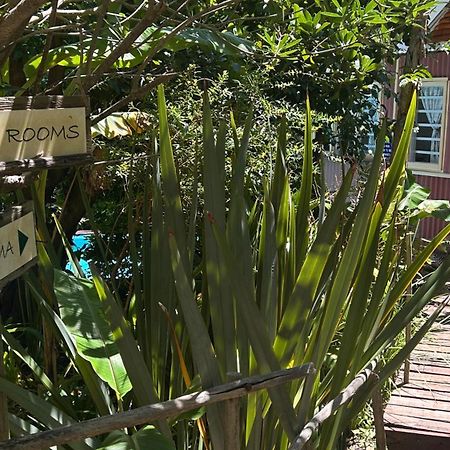 The Bamboo Lodge In Knysna Luaran gambar
